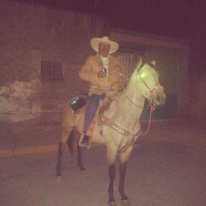 Meet your Posher, Humberto